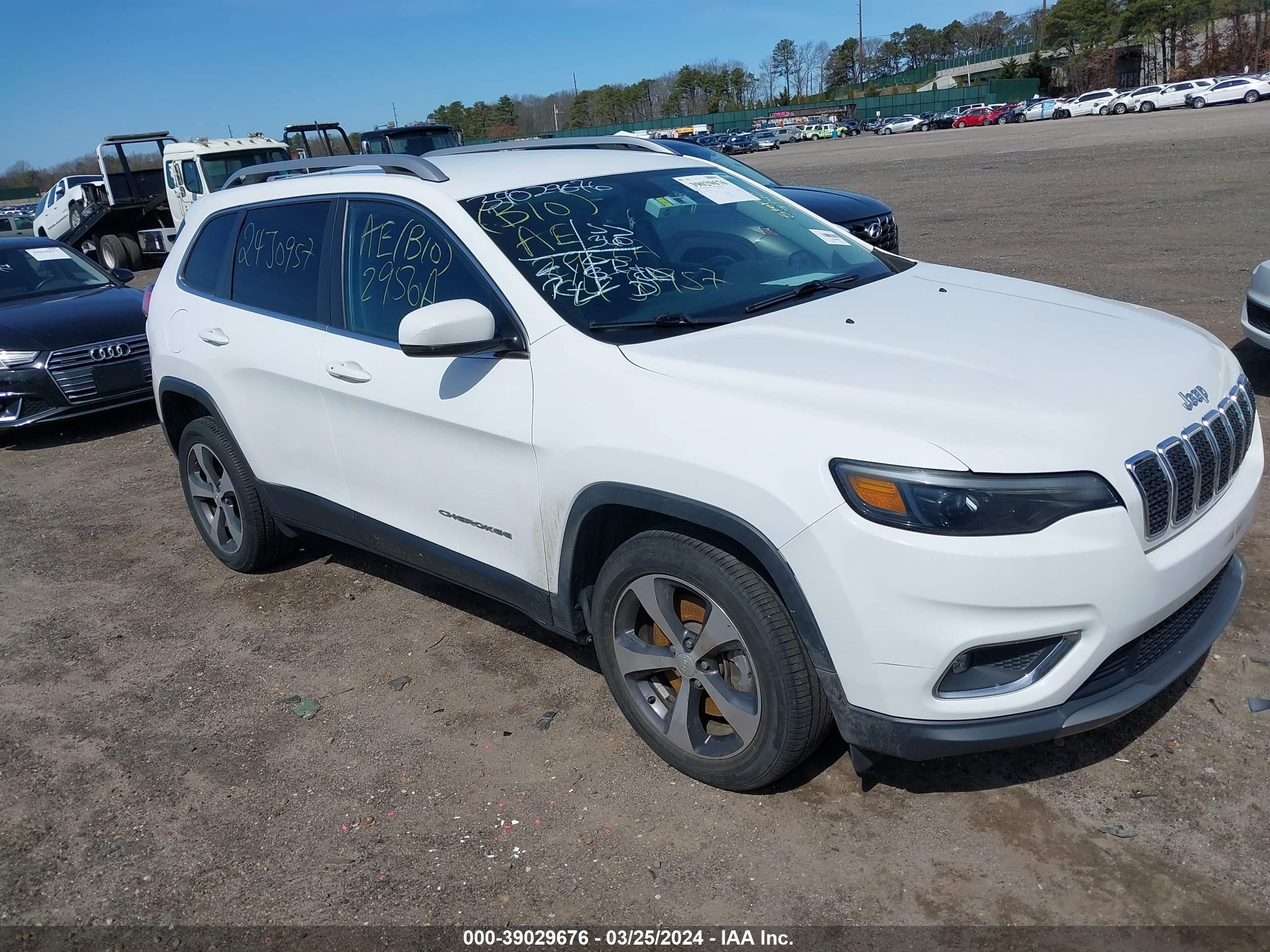 JEEP CHEROKEE 2019 1c4pjldb3kd144193