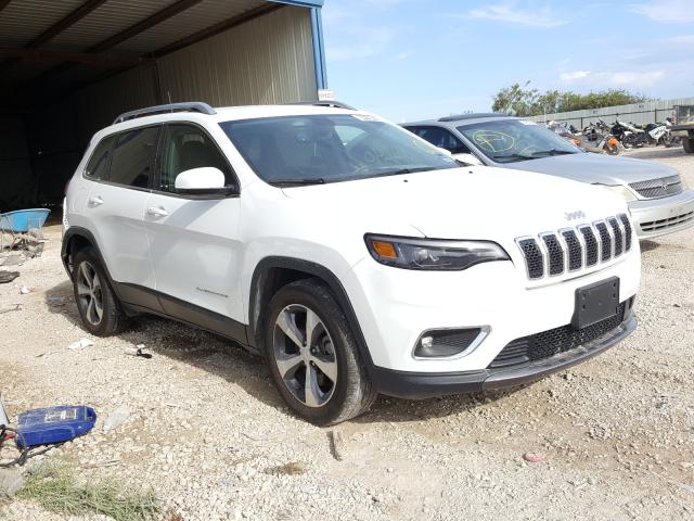 JEEP NULL 2019 1c4pjldb3kd300667