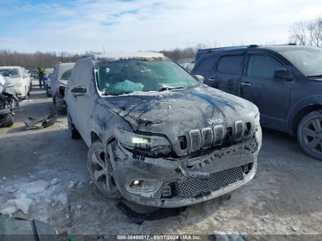 JEEP CHEROKEE 2019 1c4pjldb3kd387311