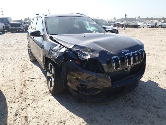 JEEP CHEROKEE 2019 1c4pjldb3kd411042