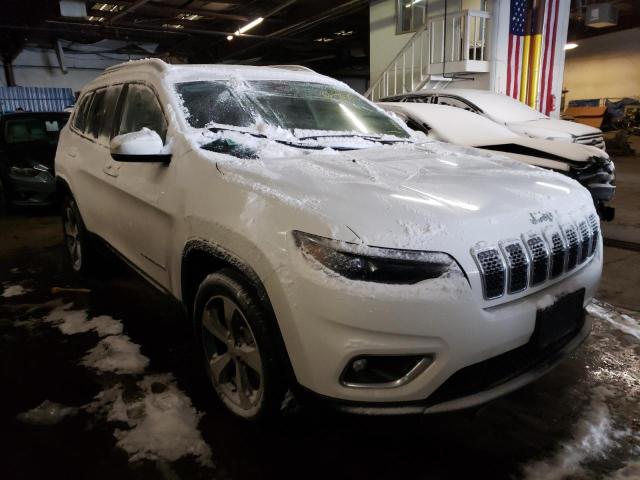 JEEP CHEROKEE L 2019 1c4pjldb3kd427662