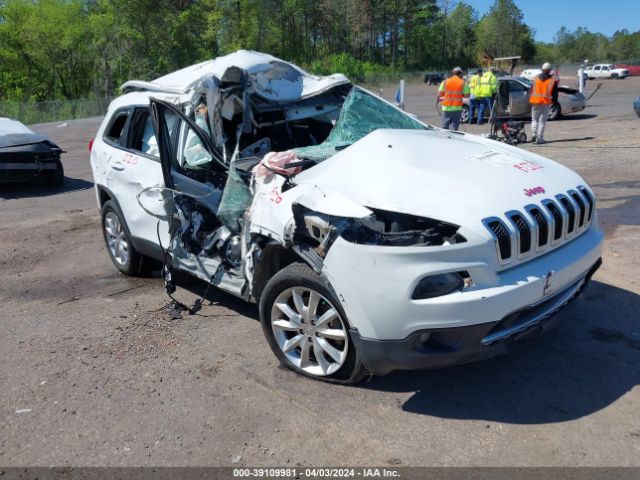 JEEP CHEROKEE 2017 1c4pjldb4hw517772