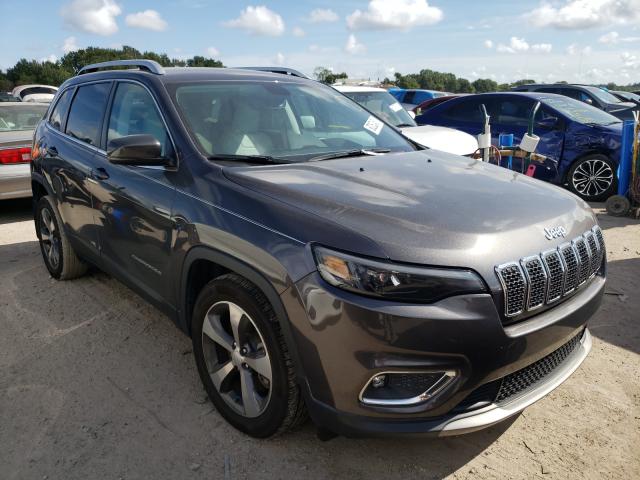 JEEP NULL 2019 1c4pjldb4kd232993