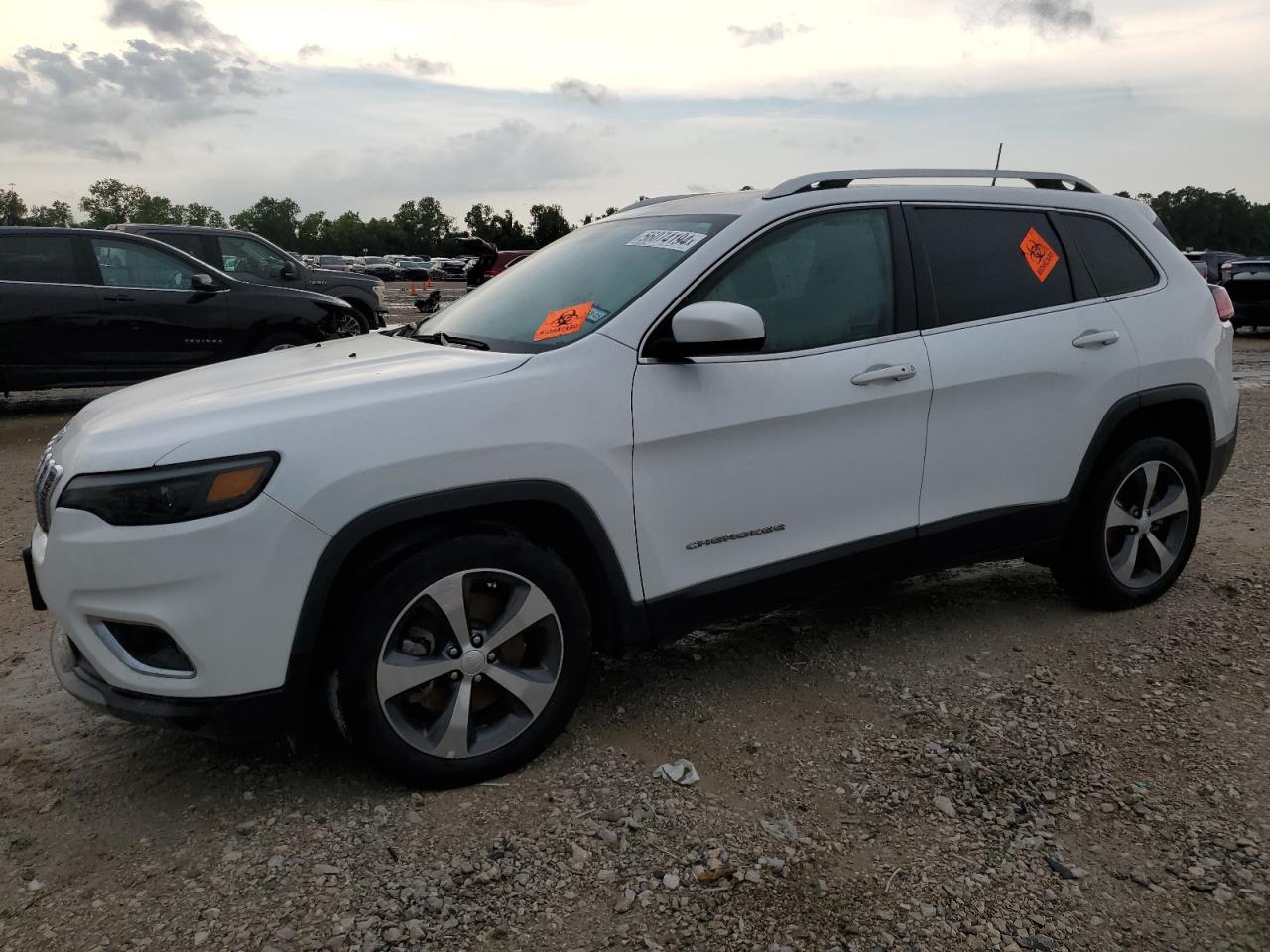 JEEP GRAND CHEROKEE 2019 1c4pjldb4kd348016