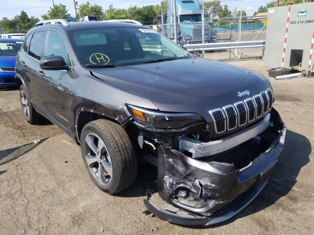 JEEP CHEROKEE 2019 1c4pjldb4kd416198