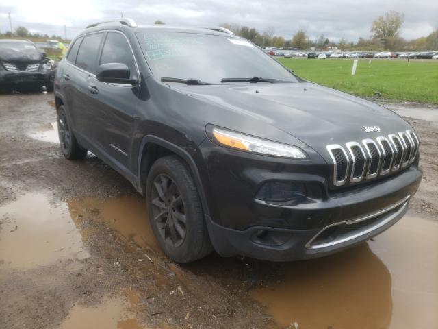 JEEP NULL 2016 1c4pjldb5gw275086