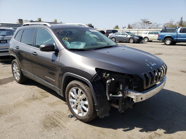 JEEP NULL 2017 1c4pjldb5hw513987