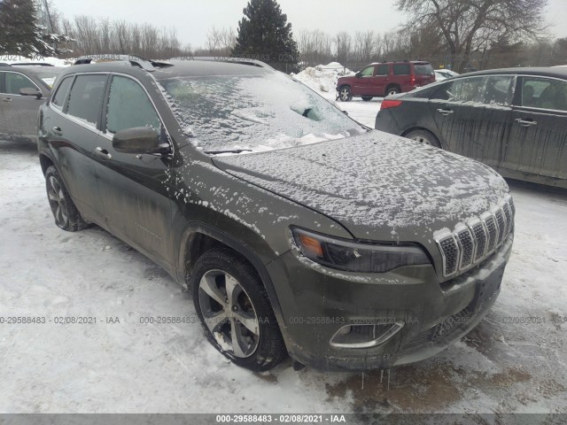 JEEP CHEROKEE 2019 1c4pjldb6kd170173