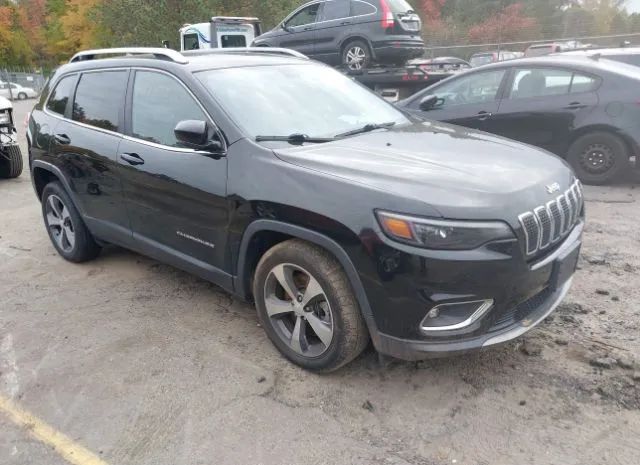 JEEP CHEROKEE 2019 1c4pjldb6kd170206