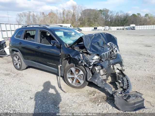 JEEP CHEROKEE 2019 1c4pjldb6kd302493