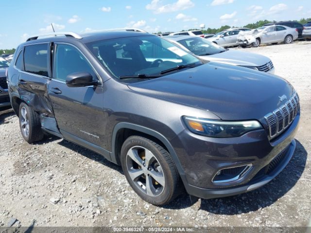 JEEP CHEROKEE 2019 1c4pjldb6kd411696