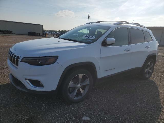 JEEP GRAND CHEROKEE 2019 1c4pjldb7kd195910