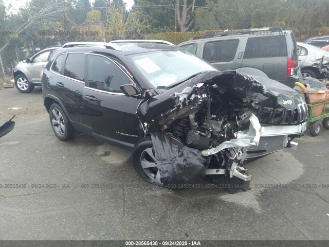 JEEP CHEROKEE 2019 1c4pjldb7kd221664