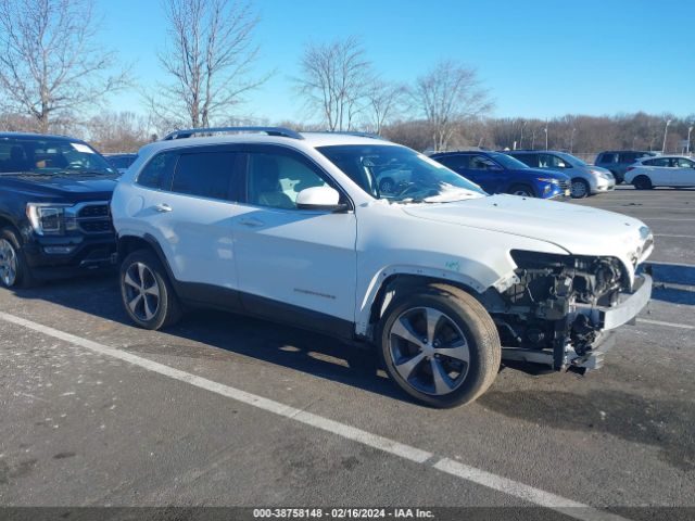 JEEP CHEROKEE 2019 1c4pjldb7kd300526