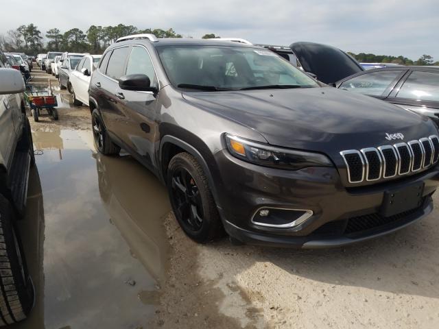 JEEP CHEROKEE L 2019 1c4pjldb7kd415871