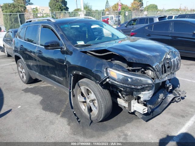 JEEP CHEROKEE 2019 1c4pjldb8kd207840