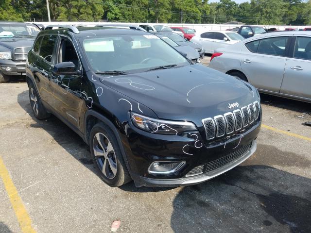 JEEP NULL 2019 1c4pjldb8kd376854