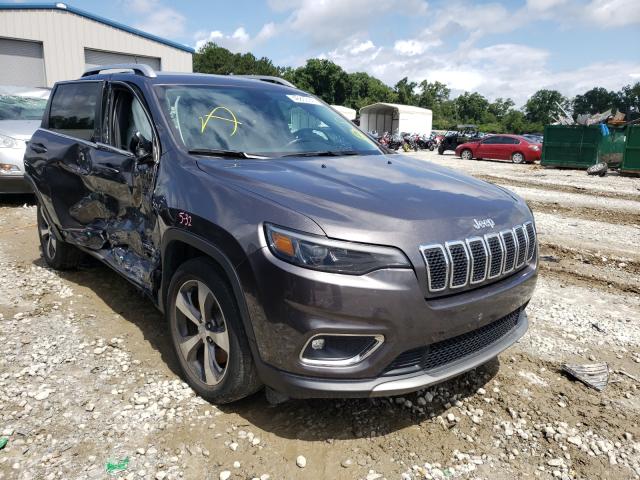 JEEP NULL 2019 1c4pjldb9kd302231