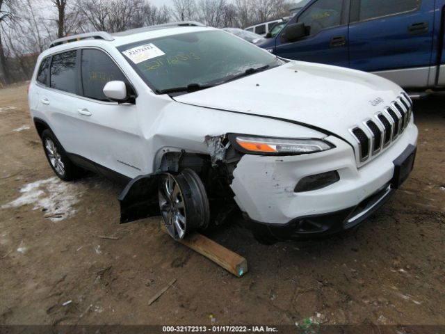 JEEP CHEROKEE 2014 1c4pjldbxew131725