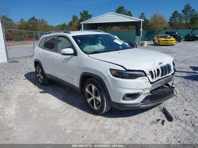 JEEP CHEROKEE 2019 1c4pjldbxkd123244