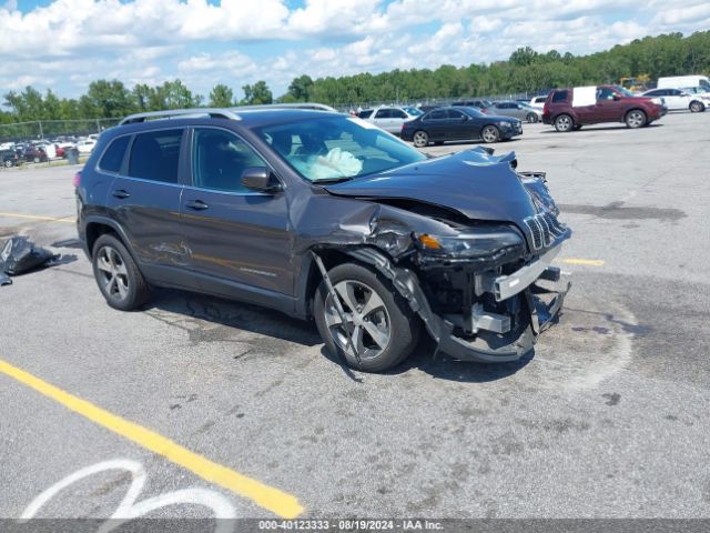 JEEP CHEROKEE 2019 1c4pjldbxkd360364