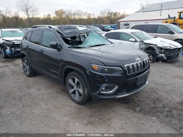 JEEP CHEROKEE 2019 1c4pjldbxkd411393