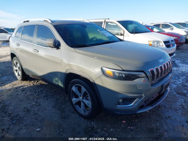 JEEP CHEROKEE 2019 1c4pjldbxkd444605