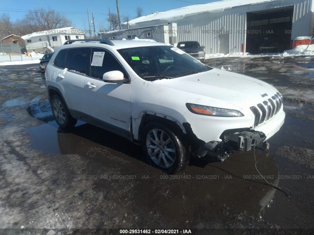 JEEP CHEROKEE 2014 1c4pjlds0ew115176