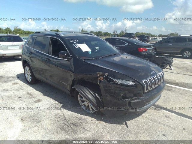 JEEP CHEROKEE 2014 1c4pjlds0ew173093