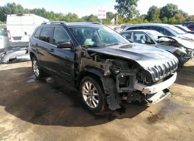 JEEP CHEROKEE 2014 1c4pjlds0ew191822