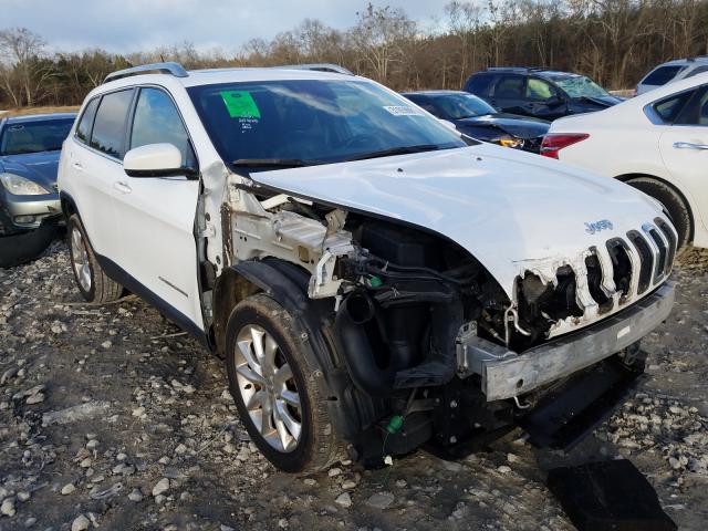 JEEP CHEROKEE L 2014 1c4pjlds0ew254045