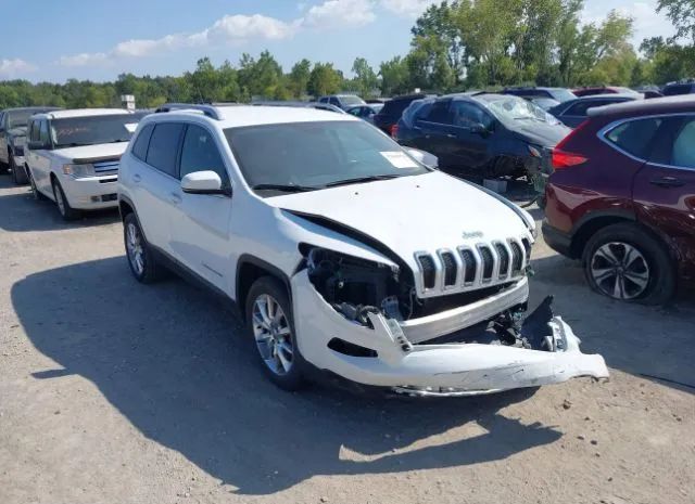 JEEP CHEROKEE 2014 1c4pjlds1ew118460