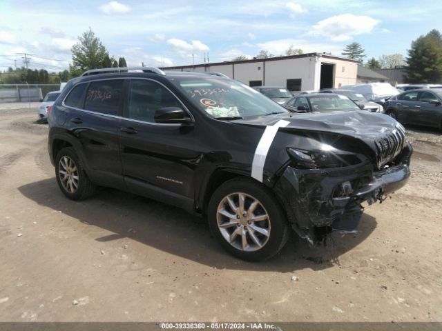 JEEP CHEROKEE 2014 1c4pjlds1ew143584