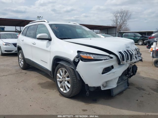 JEEP CHEROKEE 2017 1c4pjlds1hw559591