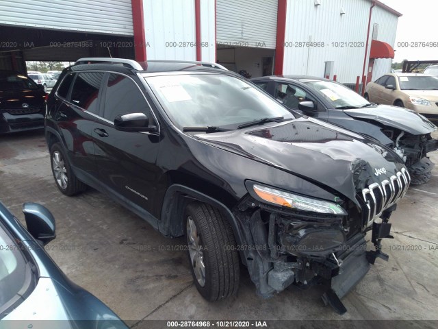 JEEP CHEROKEE 2014 1c4pjlds3ew161830