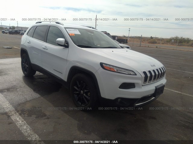 JEEP CHEROKEE 2014 1c4pjlds3ew222089