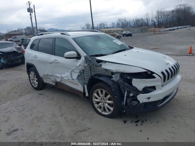 JEEP CHEROKEE 2017 1c4pjlds3hw585884