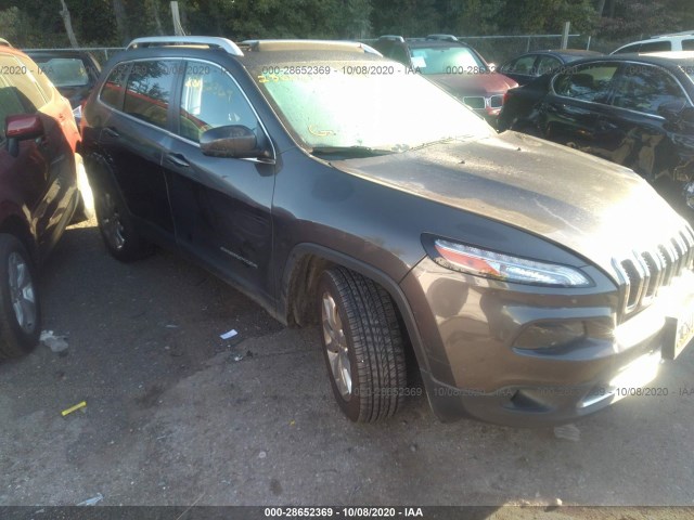 JEEP CHEROKEE 2014 1c4pjlds4ew312805