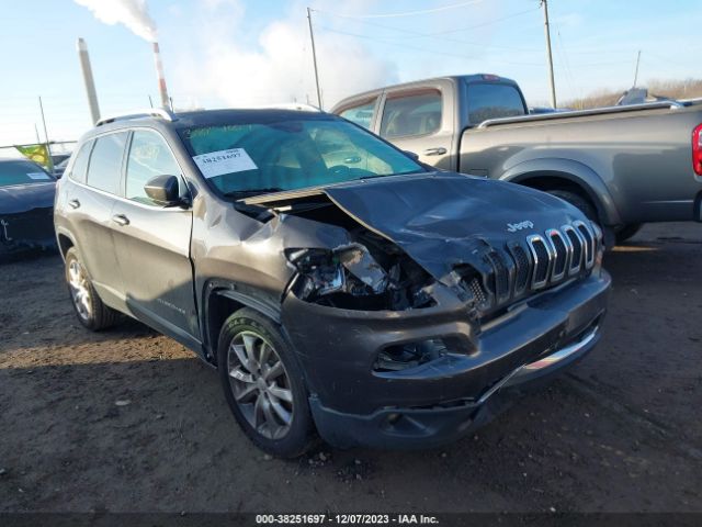 JEEP CHEROKEE 2017 1c4pjlds4hw619492