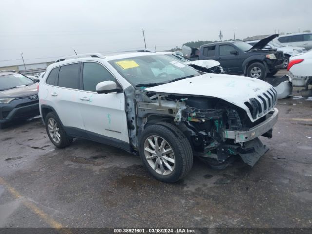 JEEP CHEROKEE 2015 1c4pjlds5fw696093