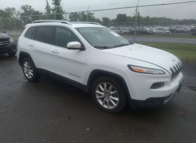 JEEP CHEROKEE 2014 1c4pjlds6ew238383