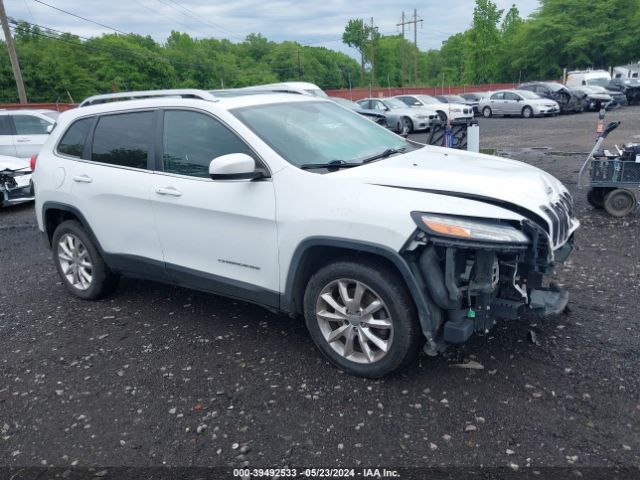 JEEP CHEROKEE 2014 1c4pjlds8ew160253