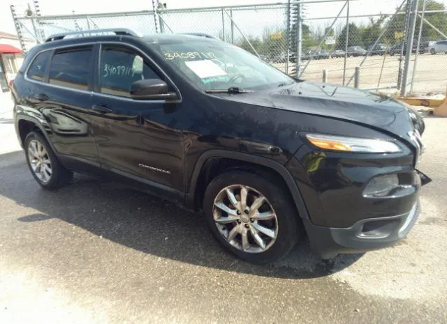 JEEP CHEROKEE 2014 1c4pjlds9ew173206