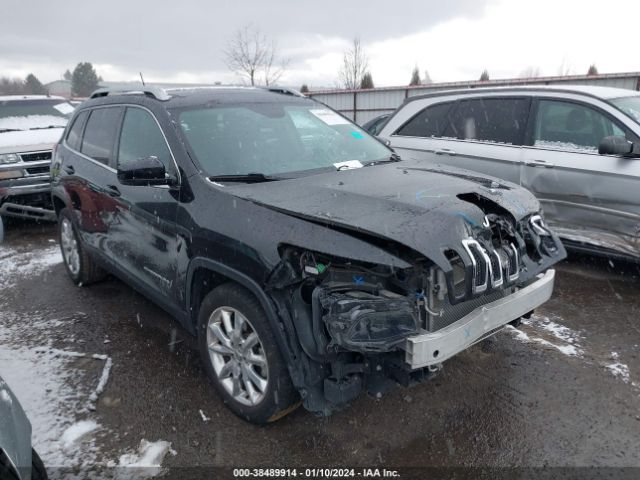 JEEP CHEROKEE 2015 1c4pjlds9fw525749