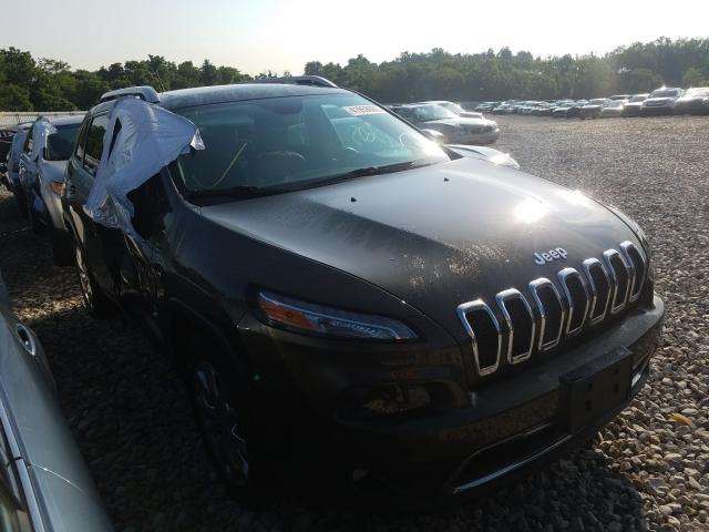 JEEP NULL 2015 1c4pjlds9fw602510