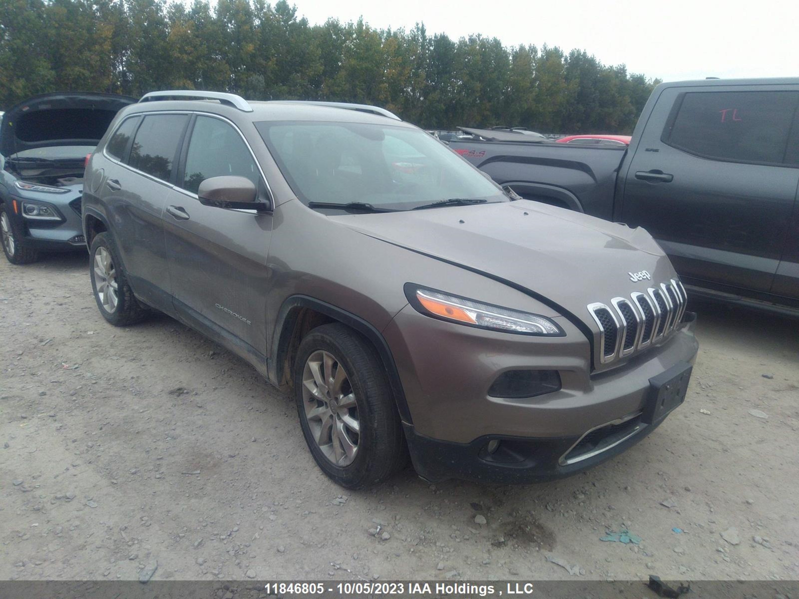 JEEP CHEROKEE 2016 1c4pjlds9gw295289