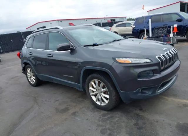 JEEP CHEROKEE 2014 1c4pjldsxew318687