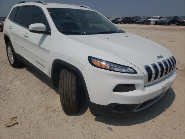 JEEP NULL 2017 1c4pjldsxhw572744