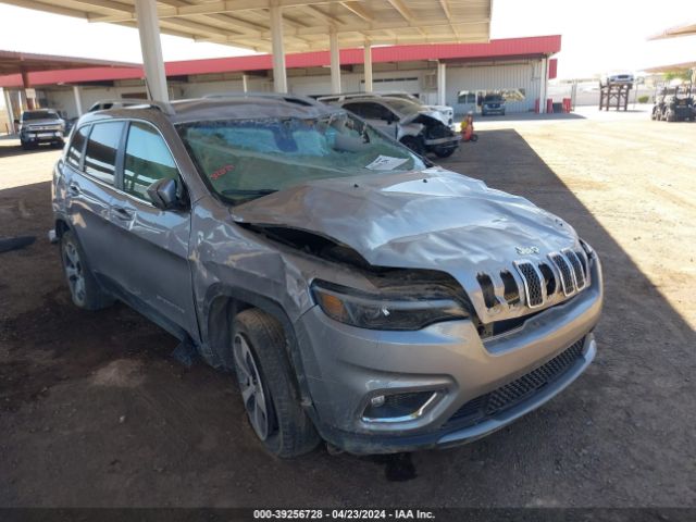 JEEP CHEROKEE 2019 1c4pjldx0kd486826