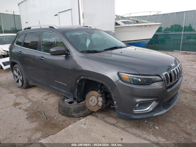 JEEP CHEROKEE 2019 1c4pjldx1kd109289